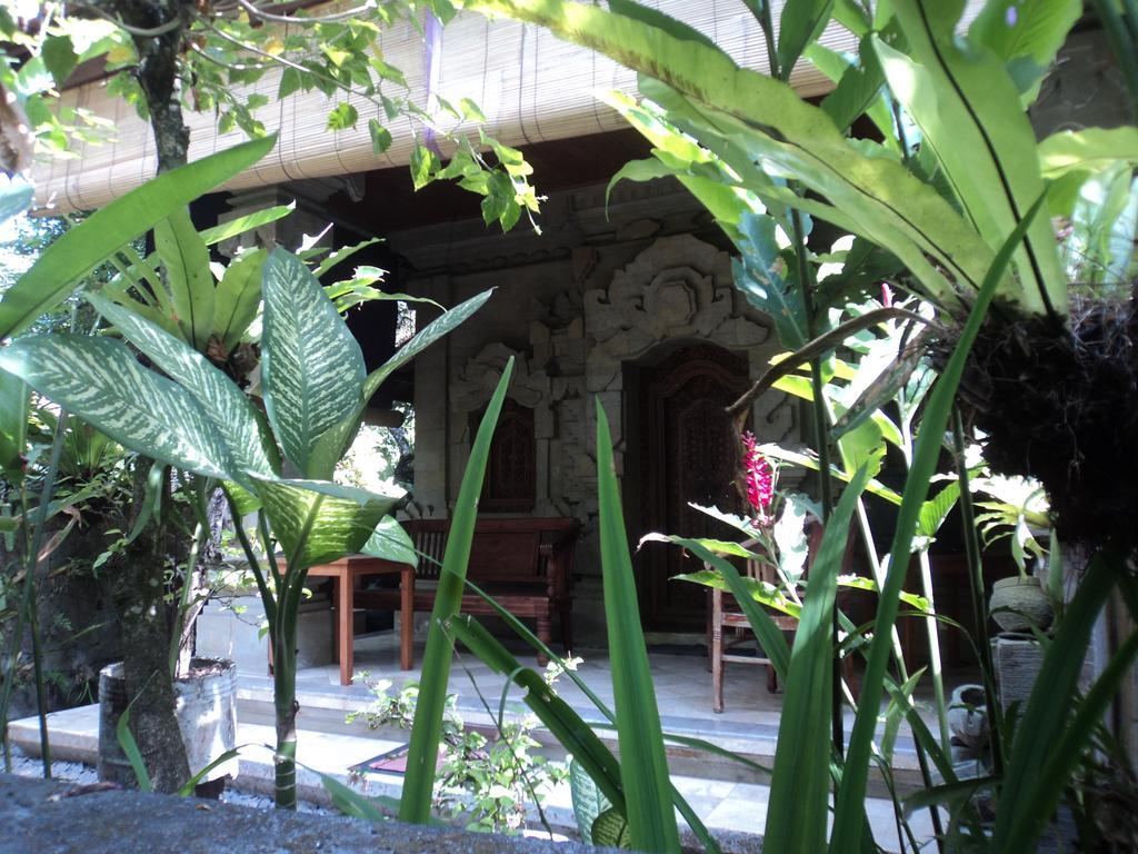 Villa Bhuana Alit Ubud Buitenkant foto
