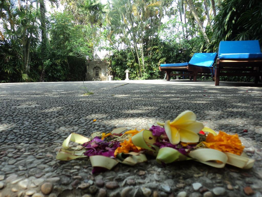 Villa Bhuana Alit Ubud Buitenkant foto