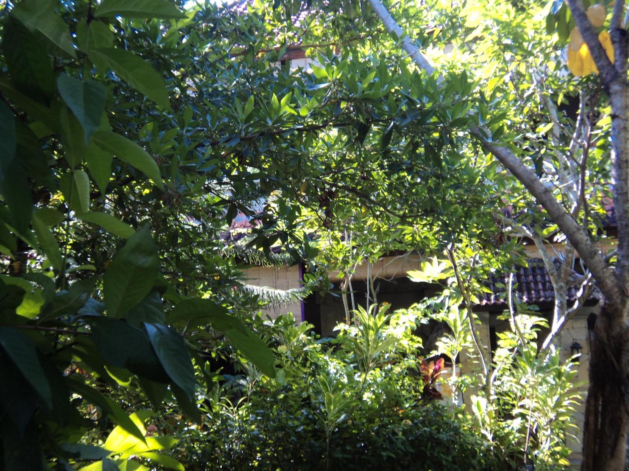 Villa Bhuana Alit Ubud Buitenkant foto