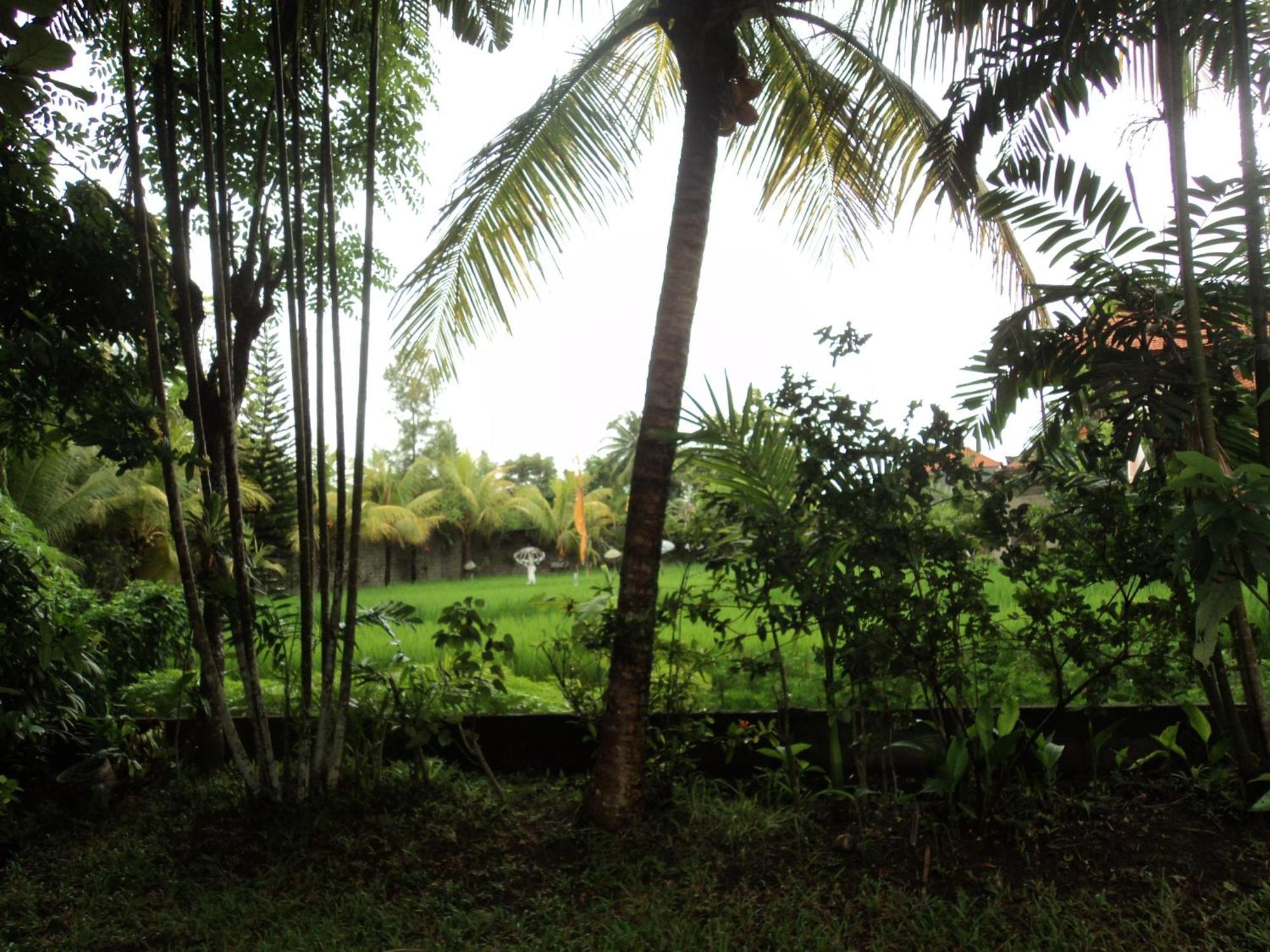 Villa Bhuana Alit Ubud Kamer foto