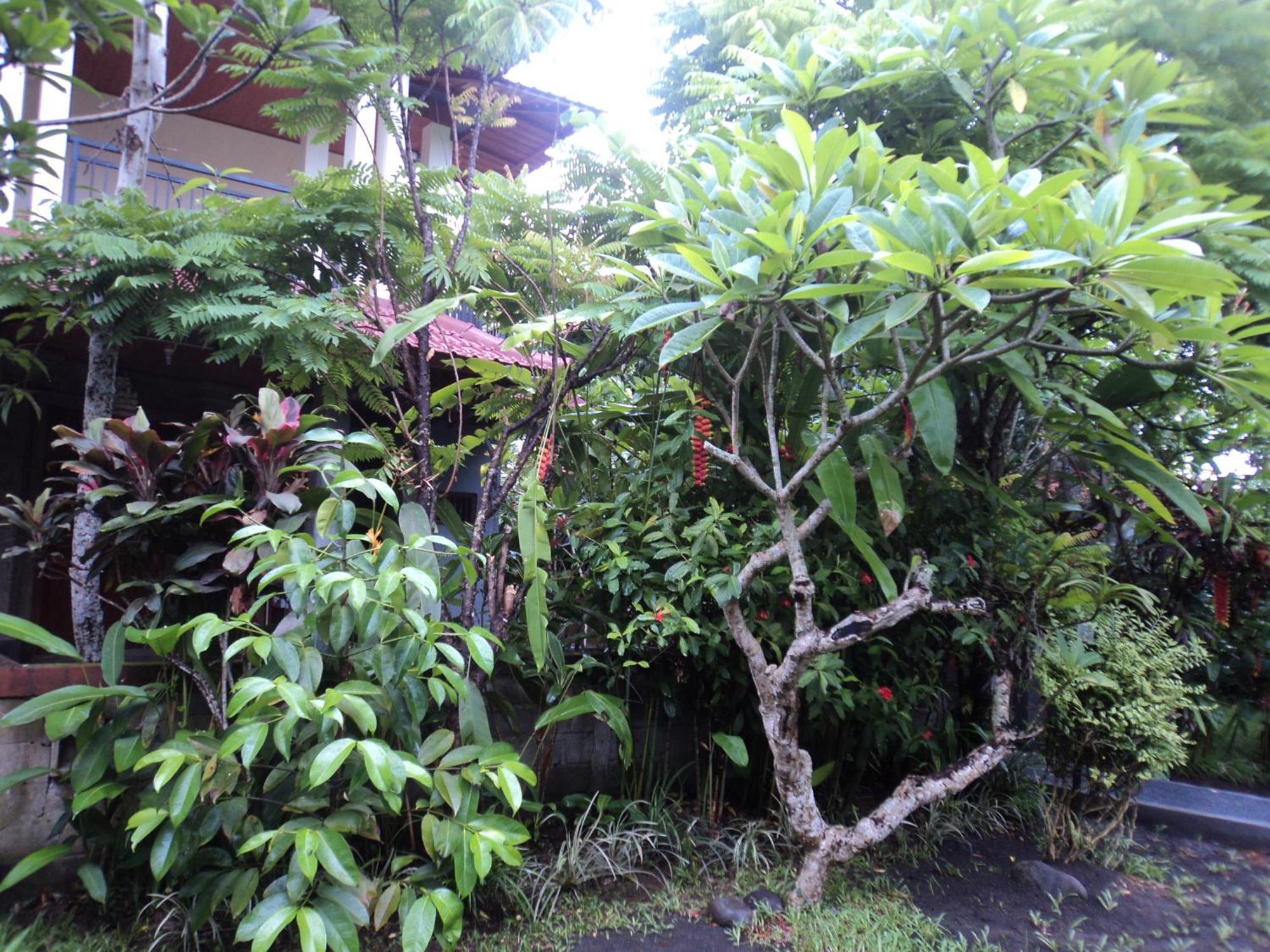 Villa Bhuana Alit Ubud Kamer foto