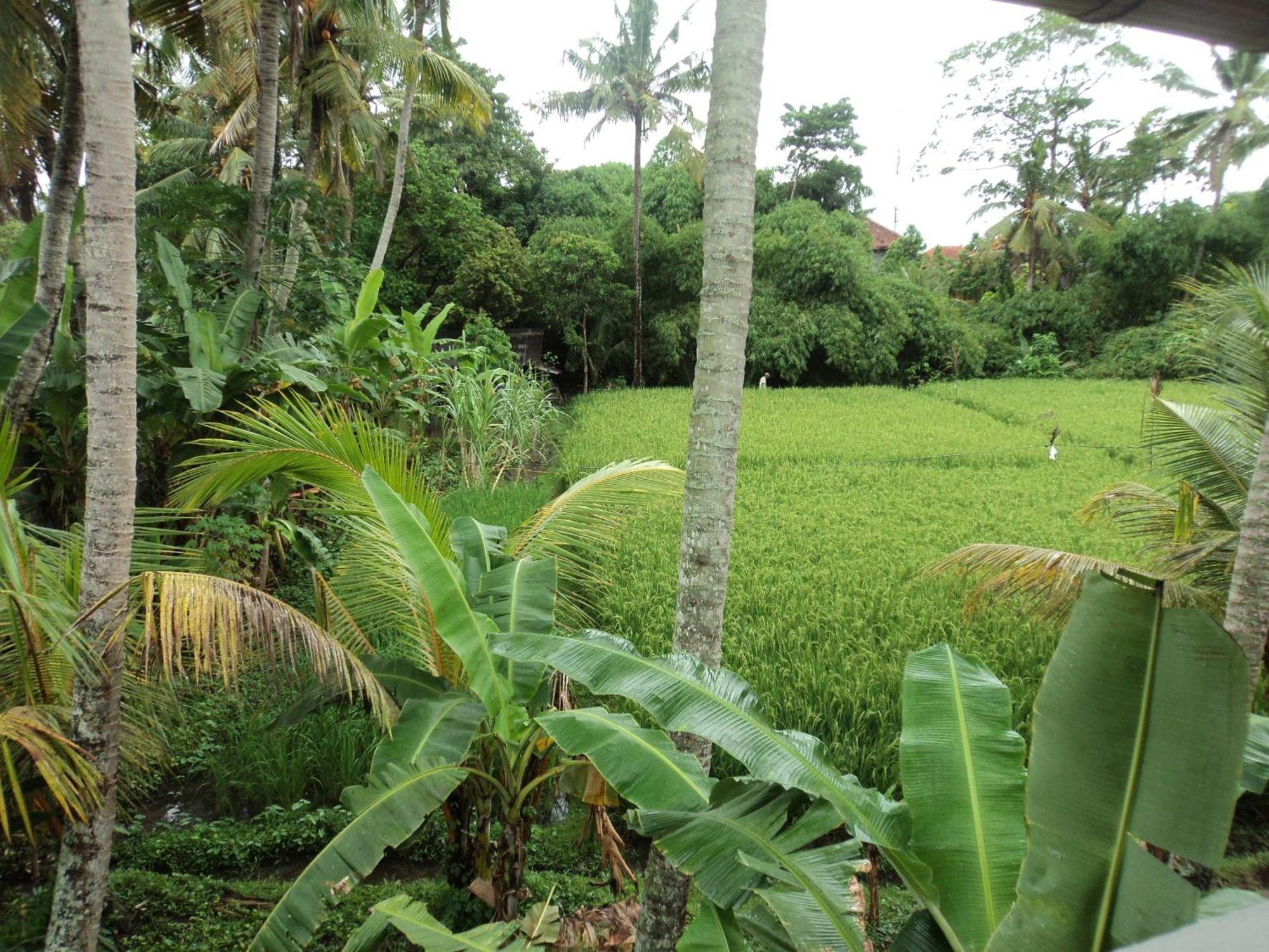Villa Bhuana Alit Ubud Kamer foto