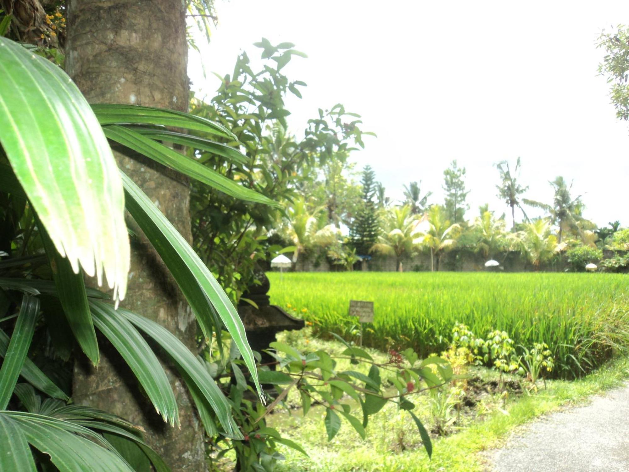Villa Bhuana Alit Ubud Kamer foto