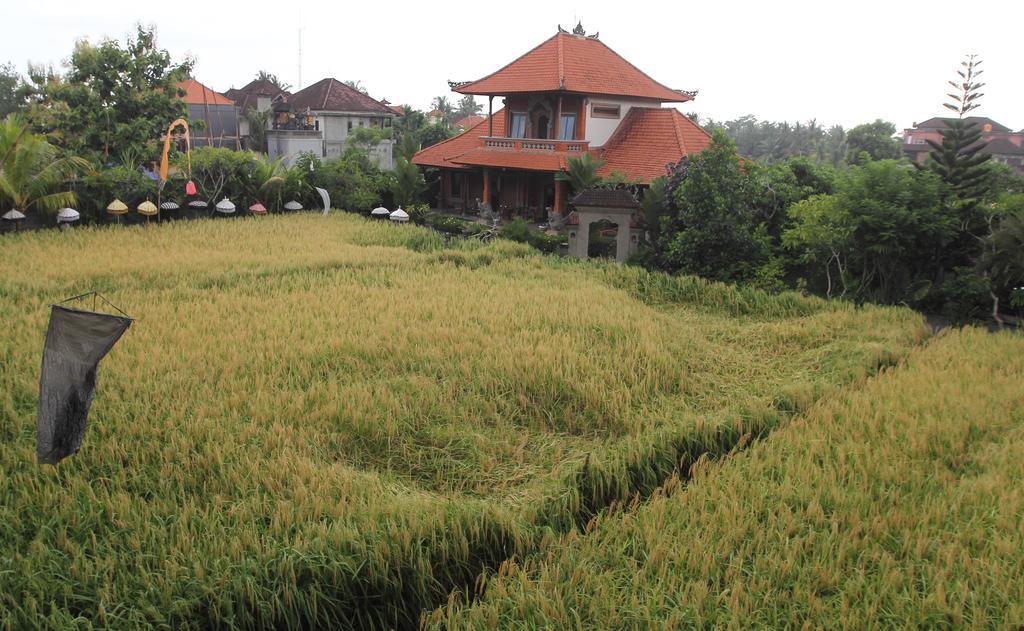 Villa Bhuana Alit Ubud Buitenkant foto