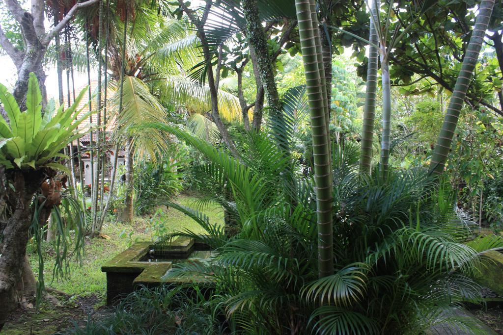 Villa Bhuana Alit Ubud Buitenkant foto